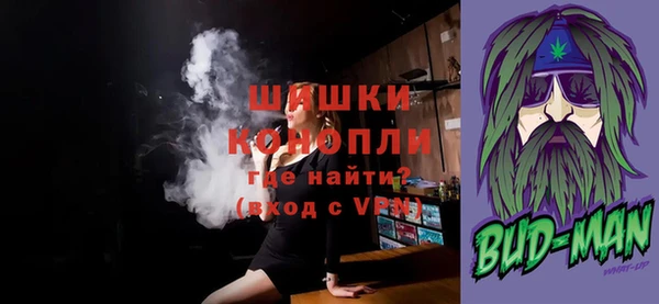 шишки Елабуга
