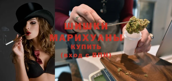 шишки Елабуга