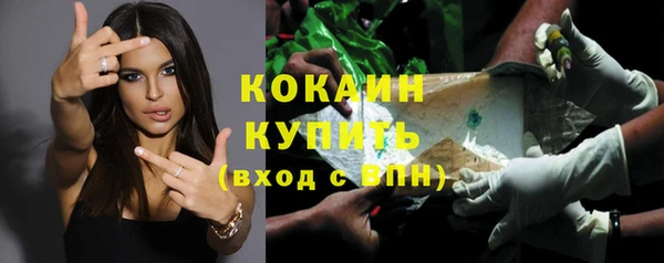 стаф Елизово