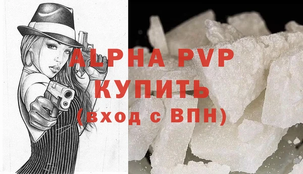 стаф Елизово