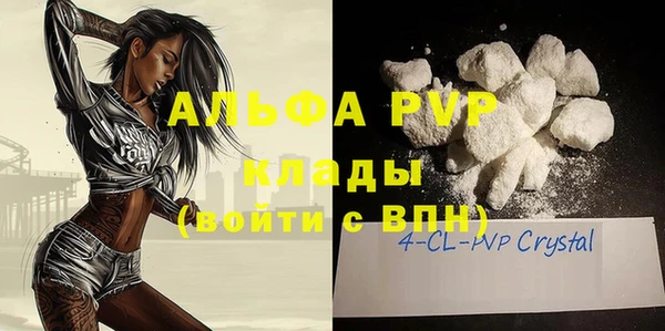 стаф Елизово