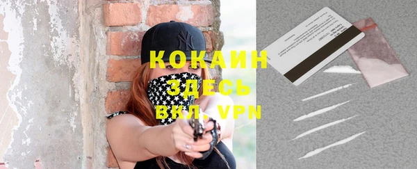шишки Елабуга