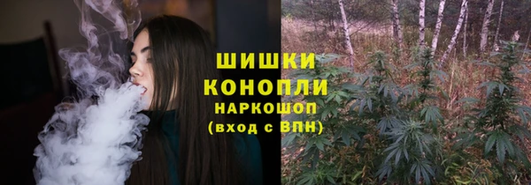 шишки Елабуга